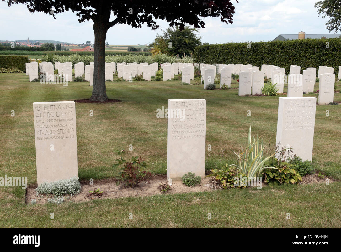 German (front) and Commonwealth (rear) headstones in the CWGC Maple Leaf Cemetery, Hainaut, Belgium. Stock Photo