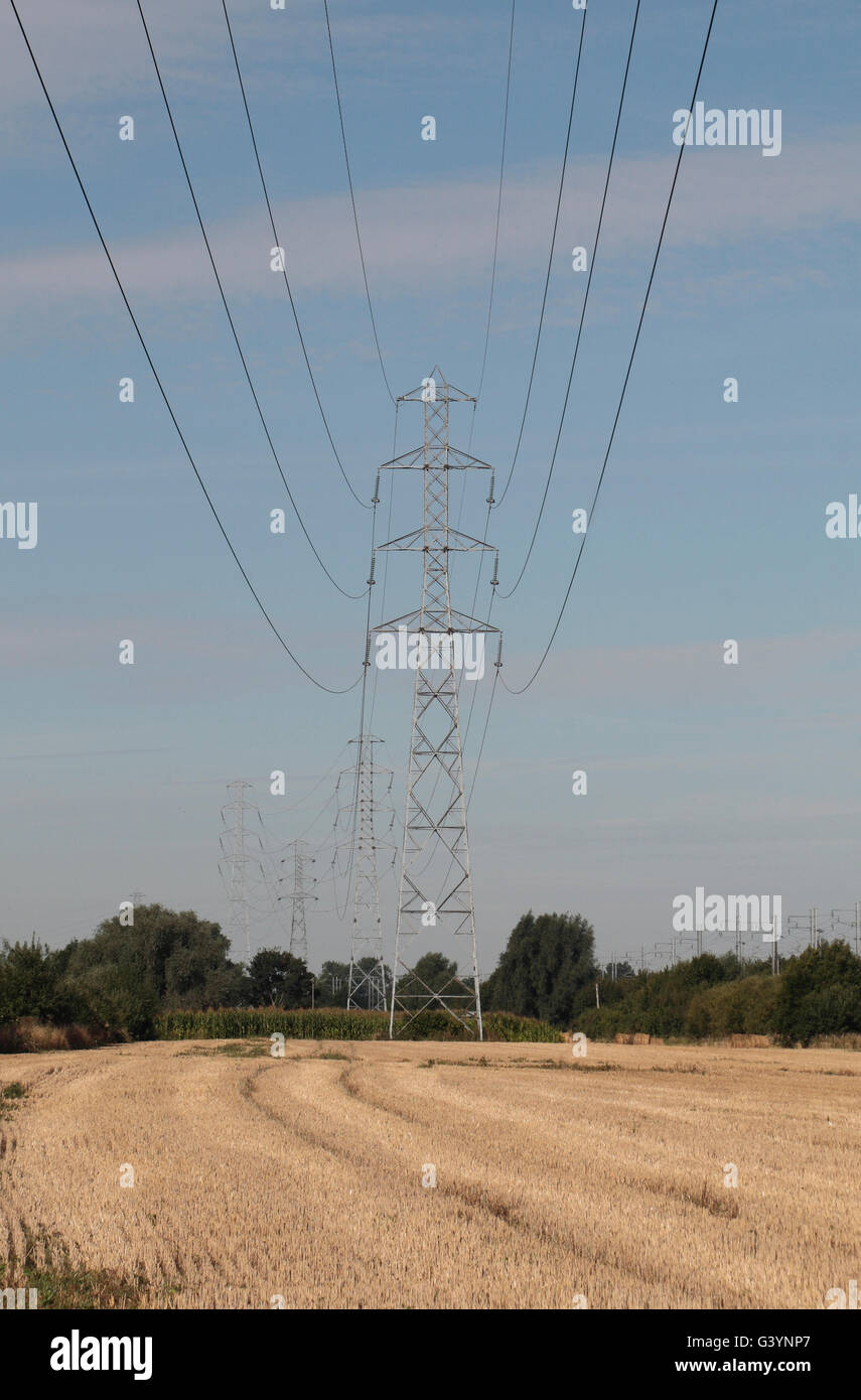 Electricity pylons passing through a field in northern France. Stock Photo