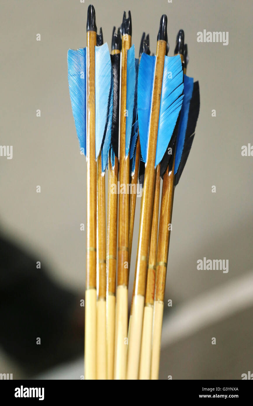 Wooden archery arrows with plastic nocks and feathers Stock Photo - Alamy