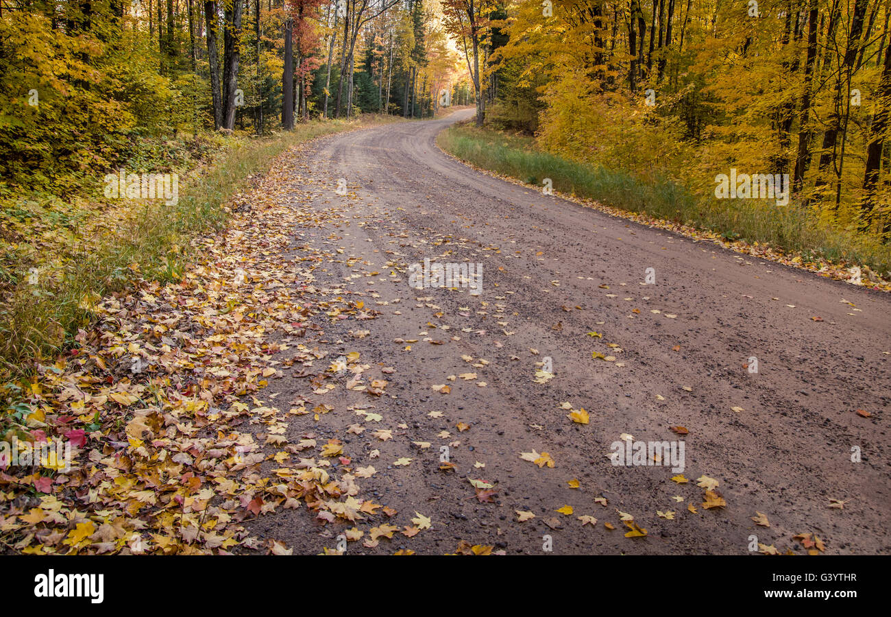 Country Road In Autumn. Rural dirt road winds through a north woods forest in autumn during peak color. Stock Photo