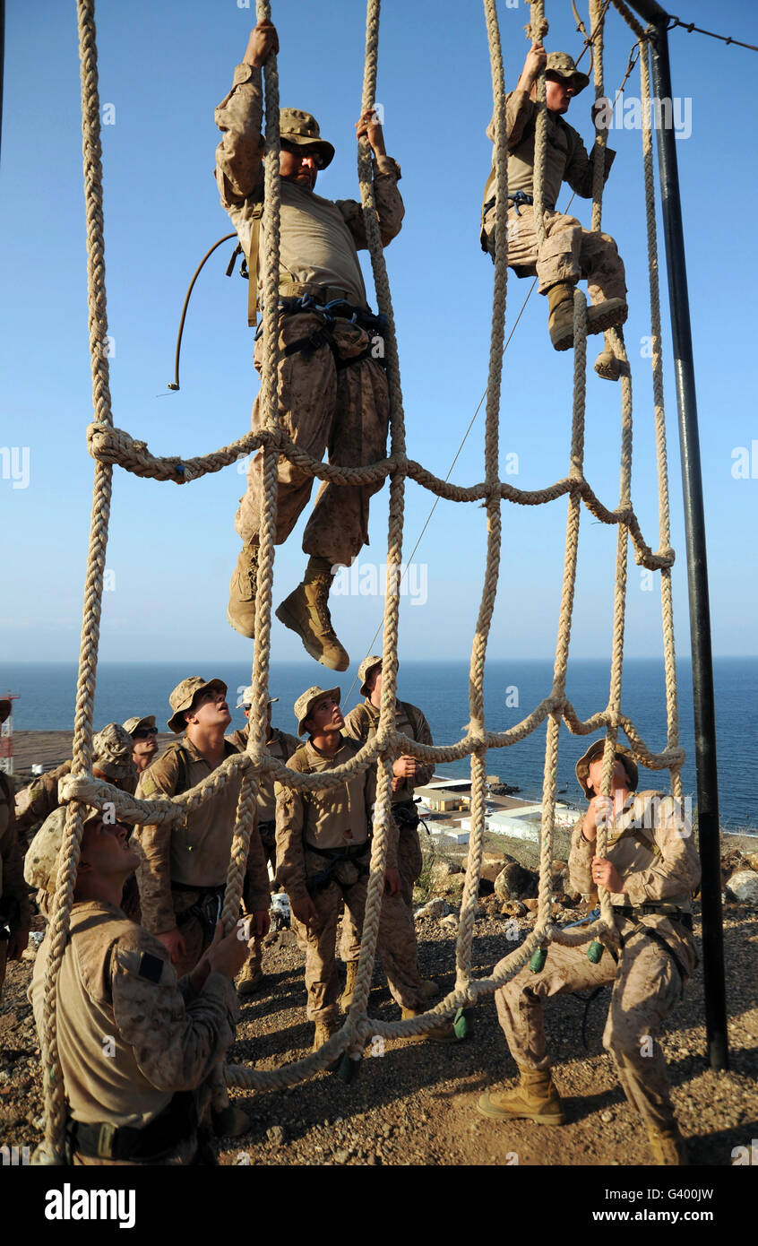 Premium Photo  Military soldiers climbing rope during obstacle course