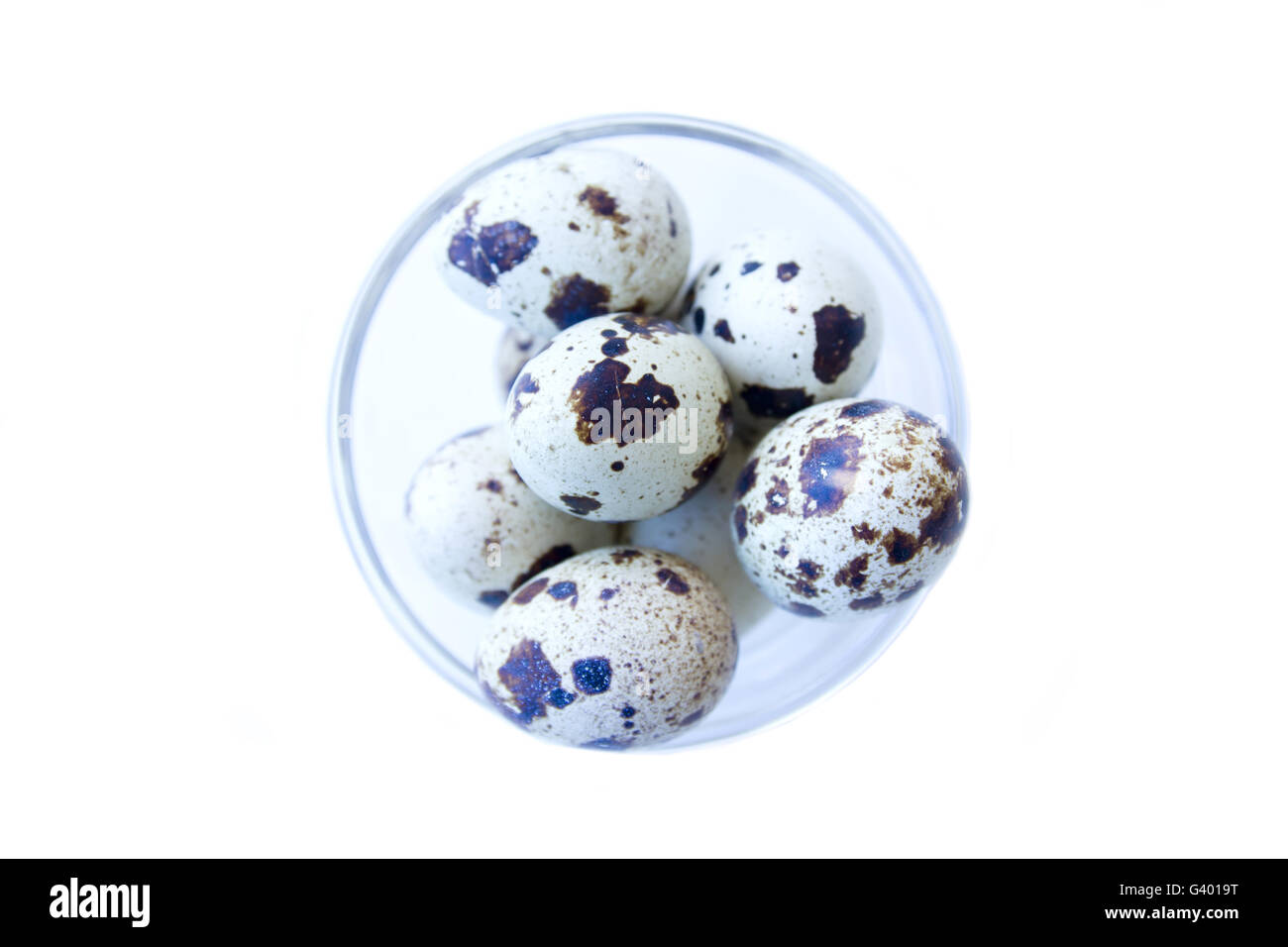 Bowl with quail eggs on a white background top view Stock Photo