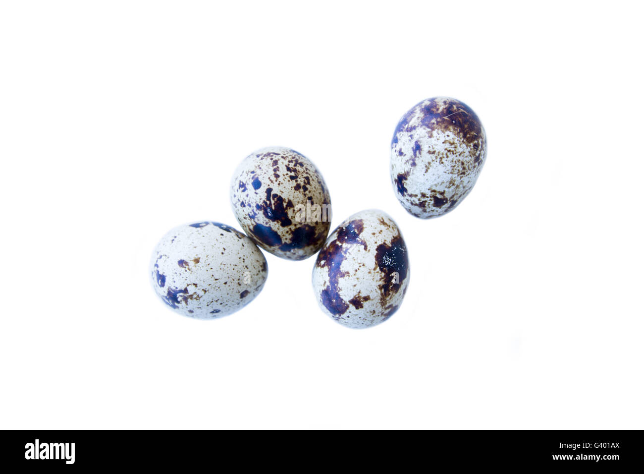 Some quail eggs on a white background seen from above Stock Photo