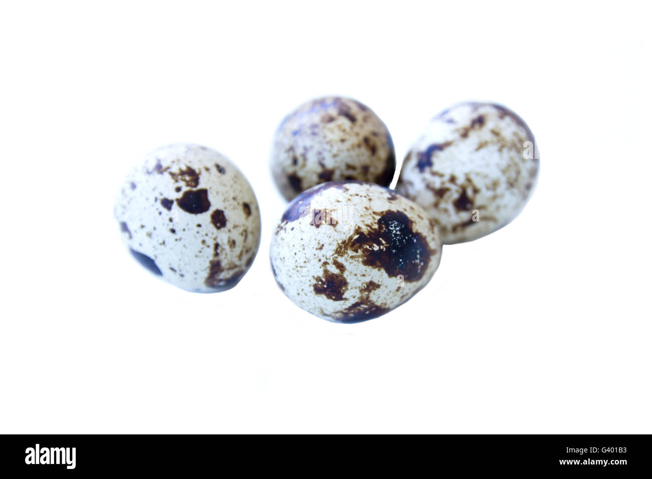 Some quail eggs on a white background Stock Photo