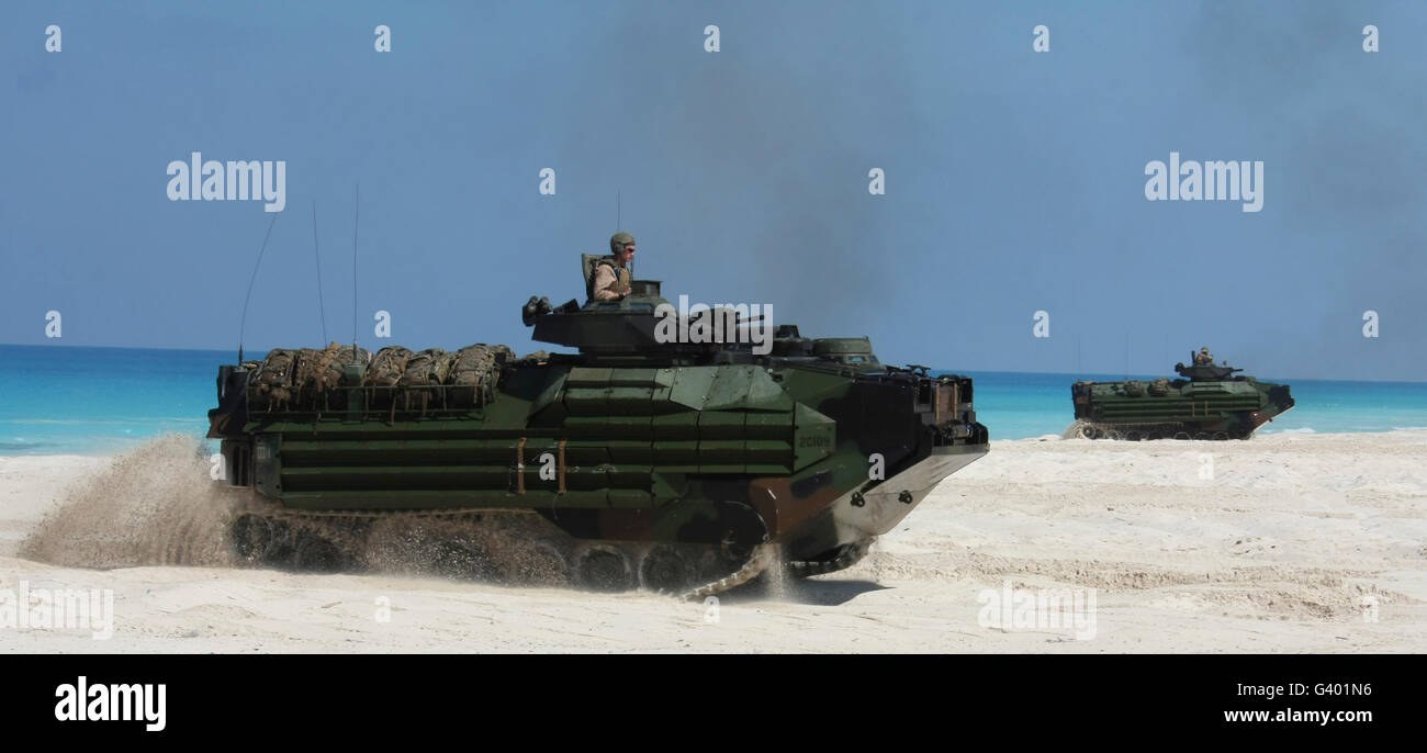 Amphibious Assault Vehicles raid the beach as part of Exercise Bright Star 2009. Stock Photo