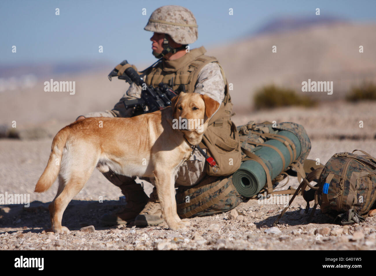 A Yellow Labrador Retriever and his handler take a break in the desert. Stock Photo