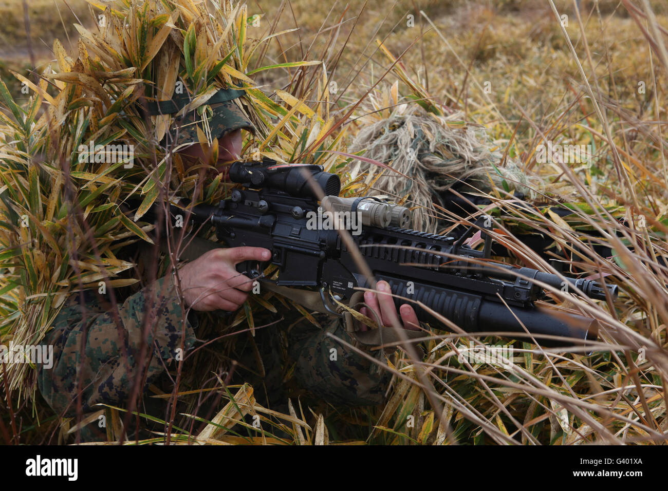 U.S. Marine aims in on target during sniper training. Stock Photo