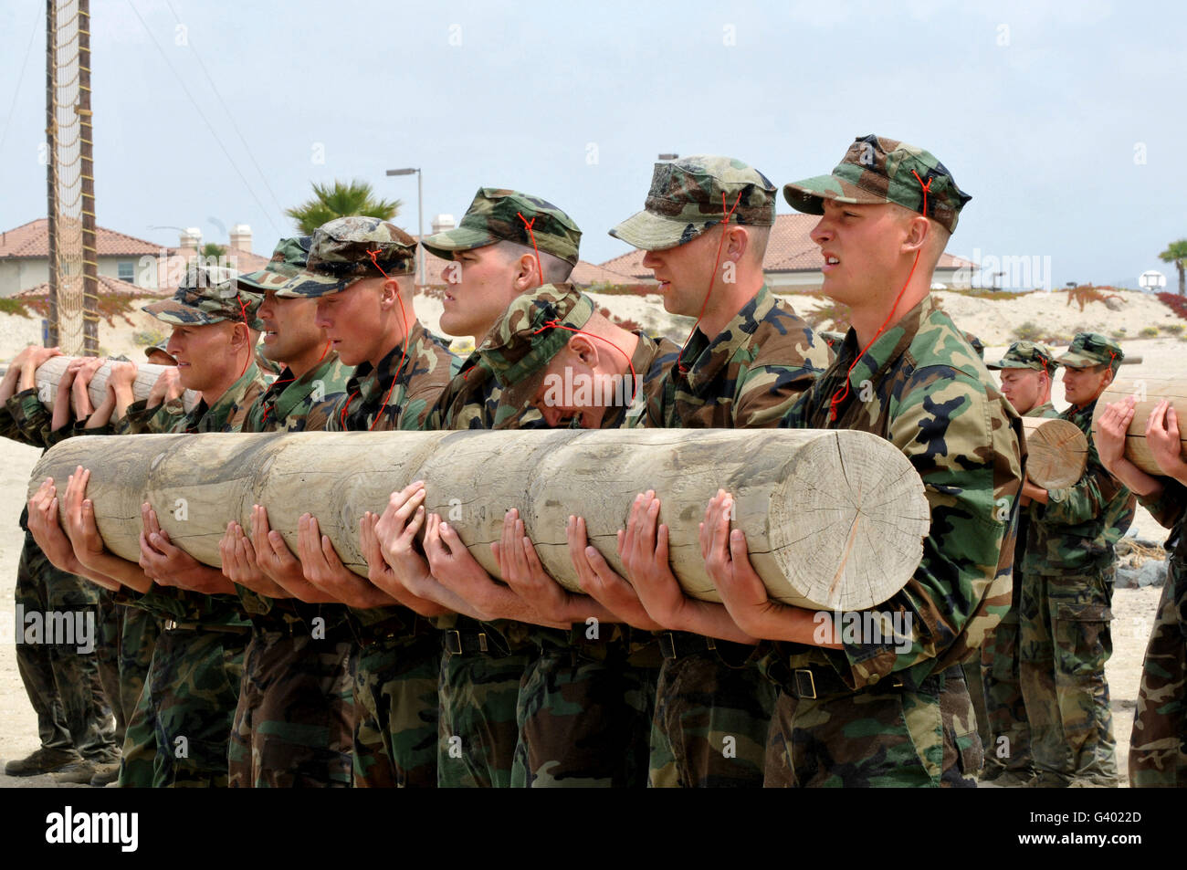 First Phase BUD/S students perform log physical training exercises. Stock Photo