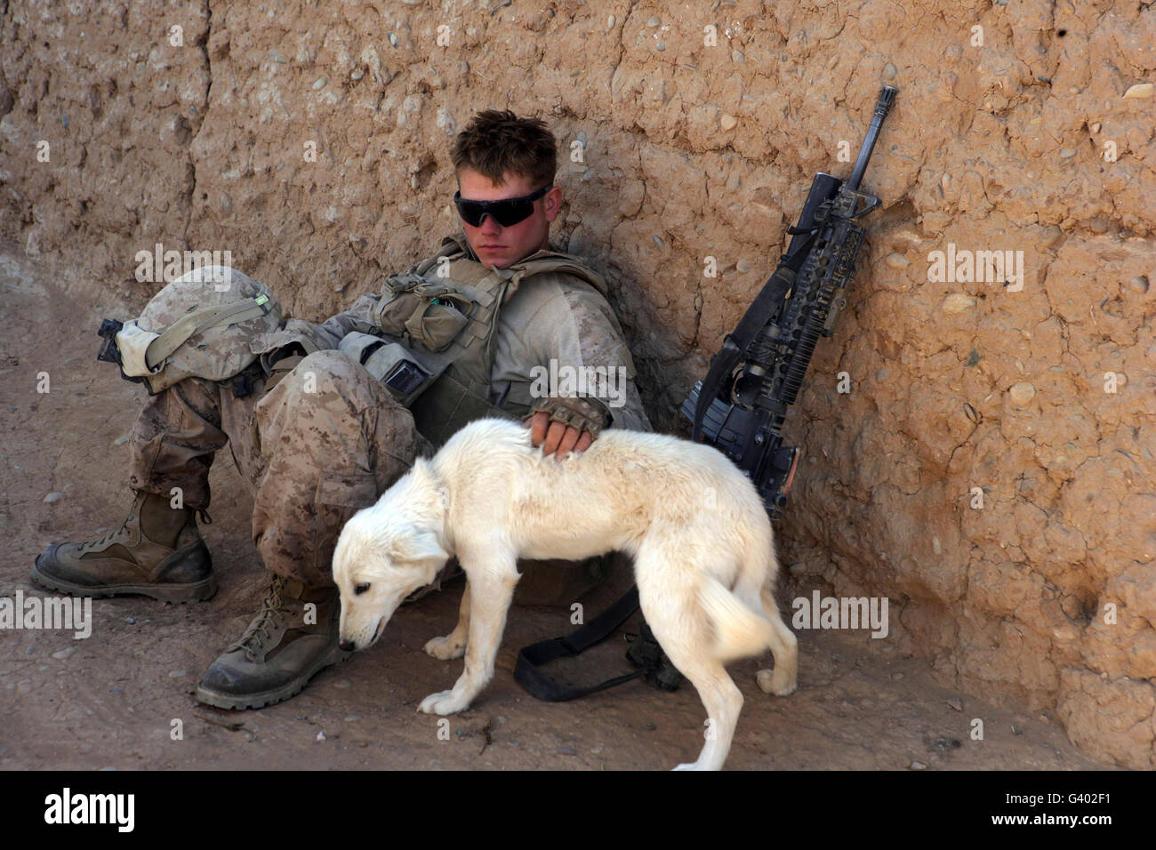 A U.S. Marine pets a dog while taking a break in Afghanistan. Stock Photo