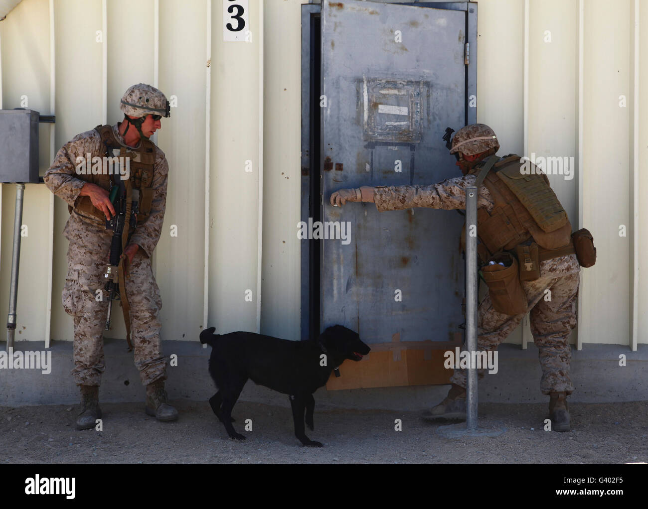 Dog handlers conduct improvised explosive device training. Stock Photo