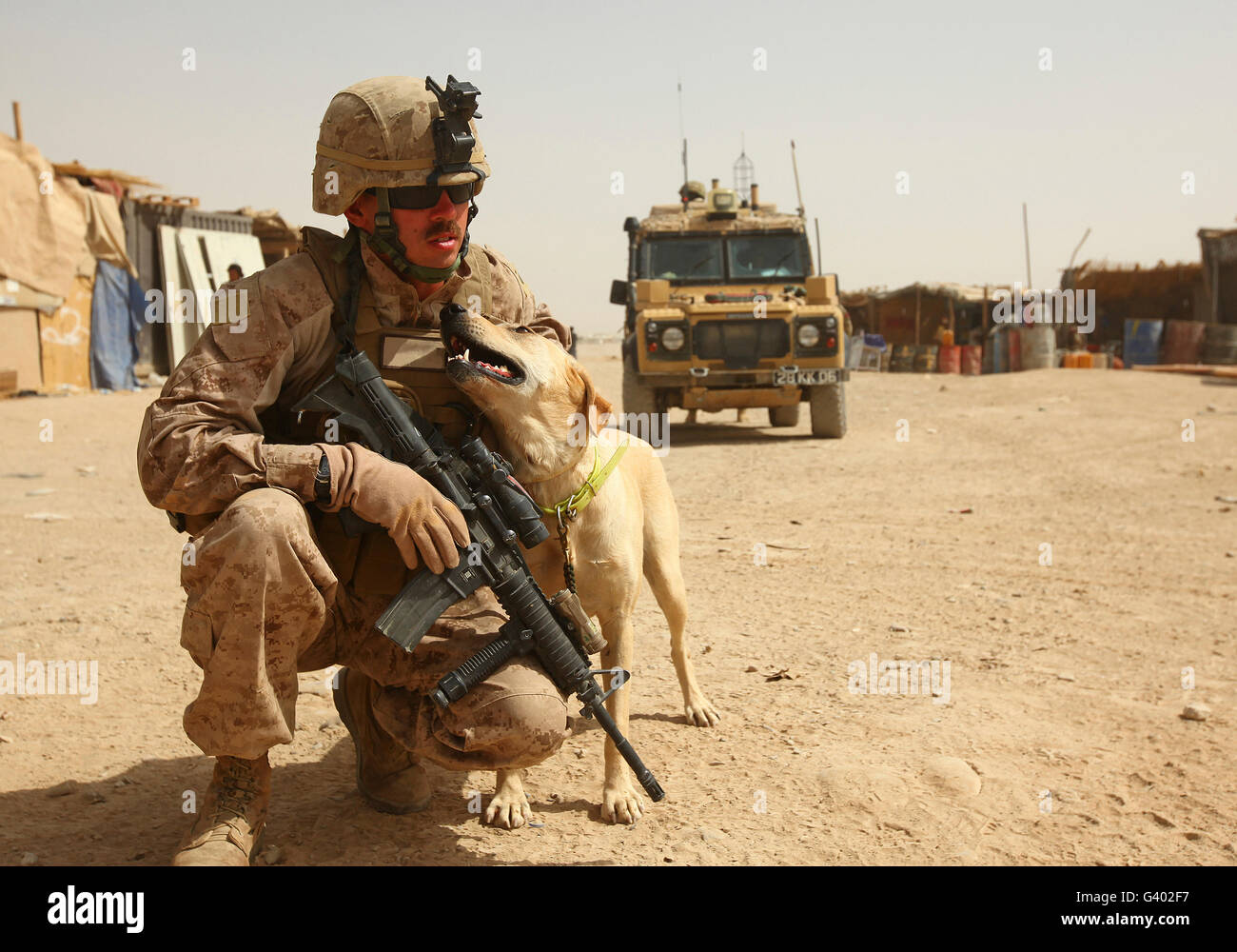 A dog handler posts security with an IED detection dog in Afghanistan. Stock Photo