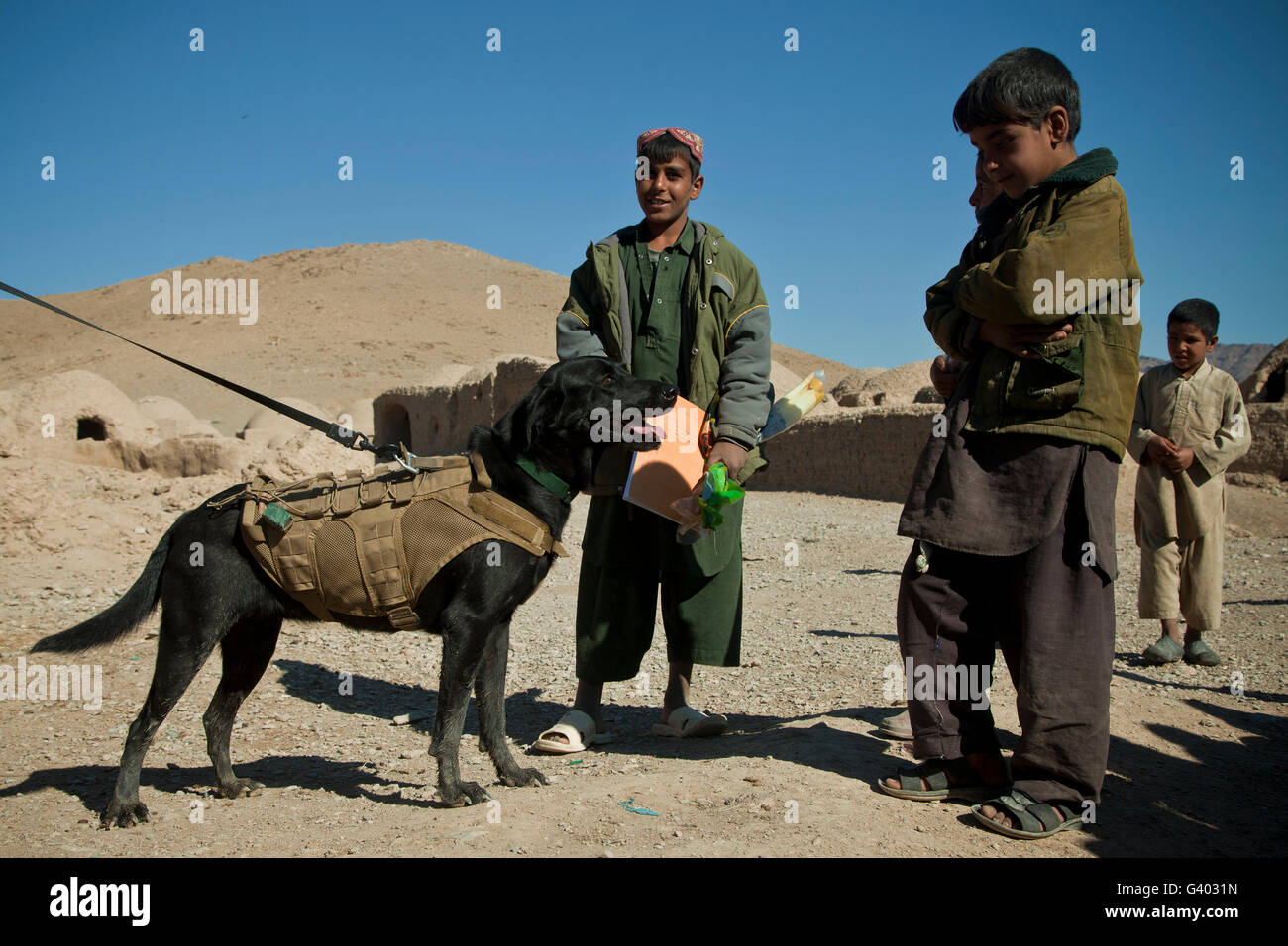 A coalition forces military working dog stands with children in a village. Stock Photo