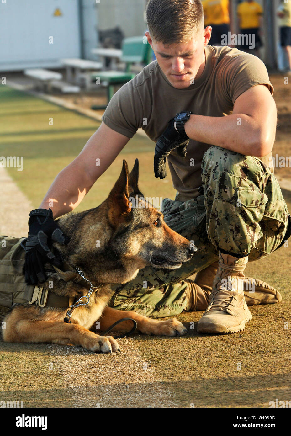 A military working dog handler, pets his dog before training. Stock Photo