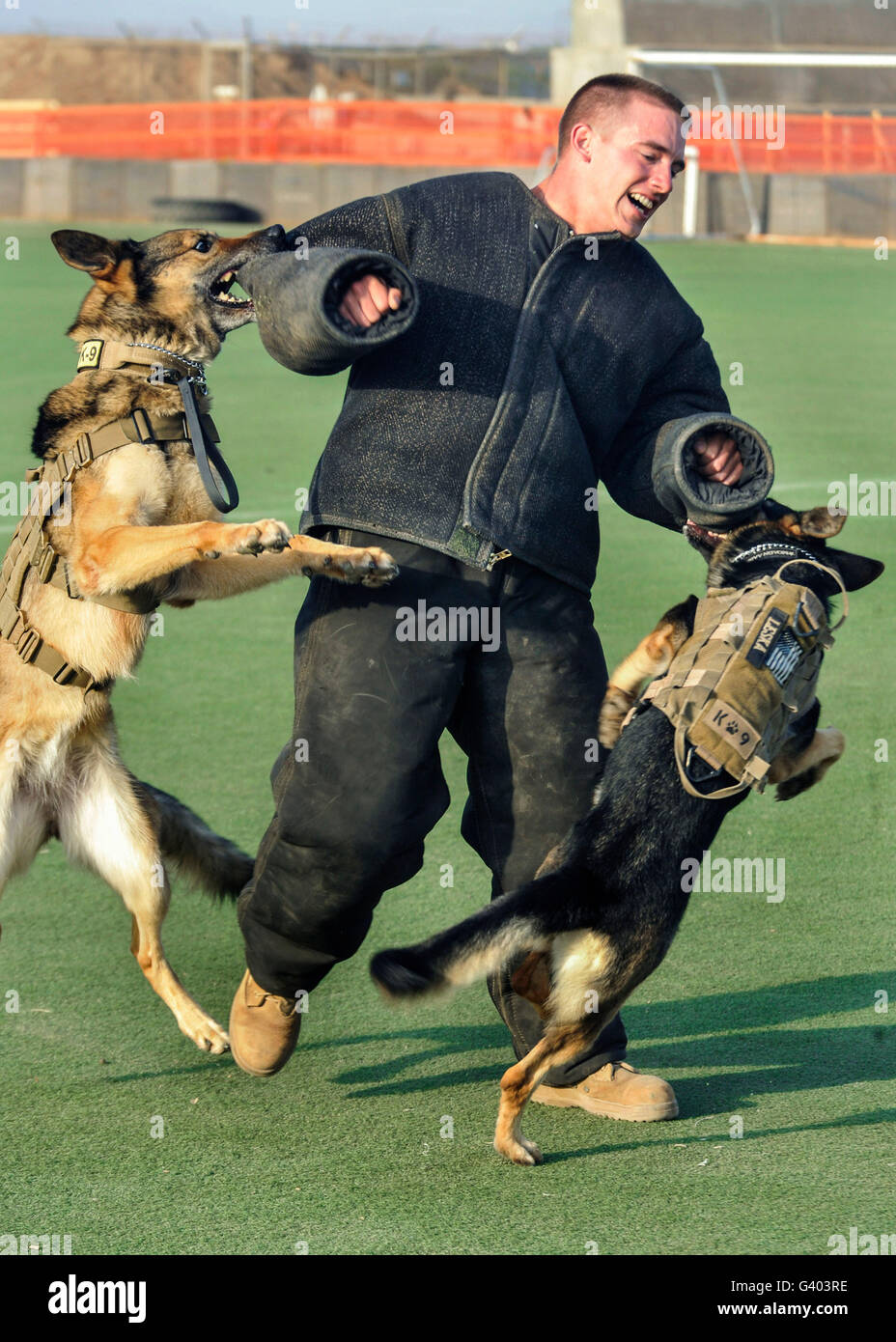 How Much Do Military Dog Trainers Make
