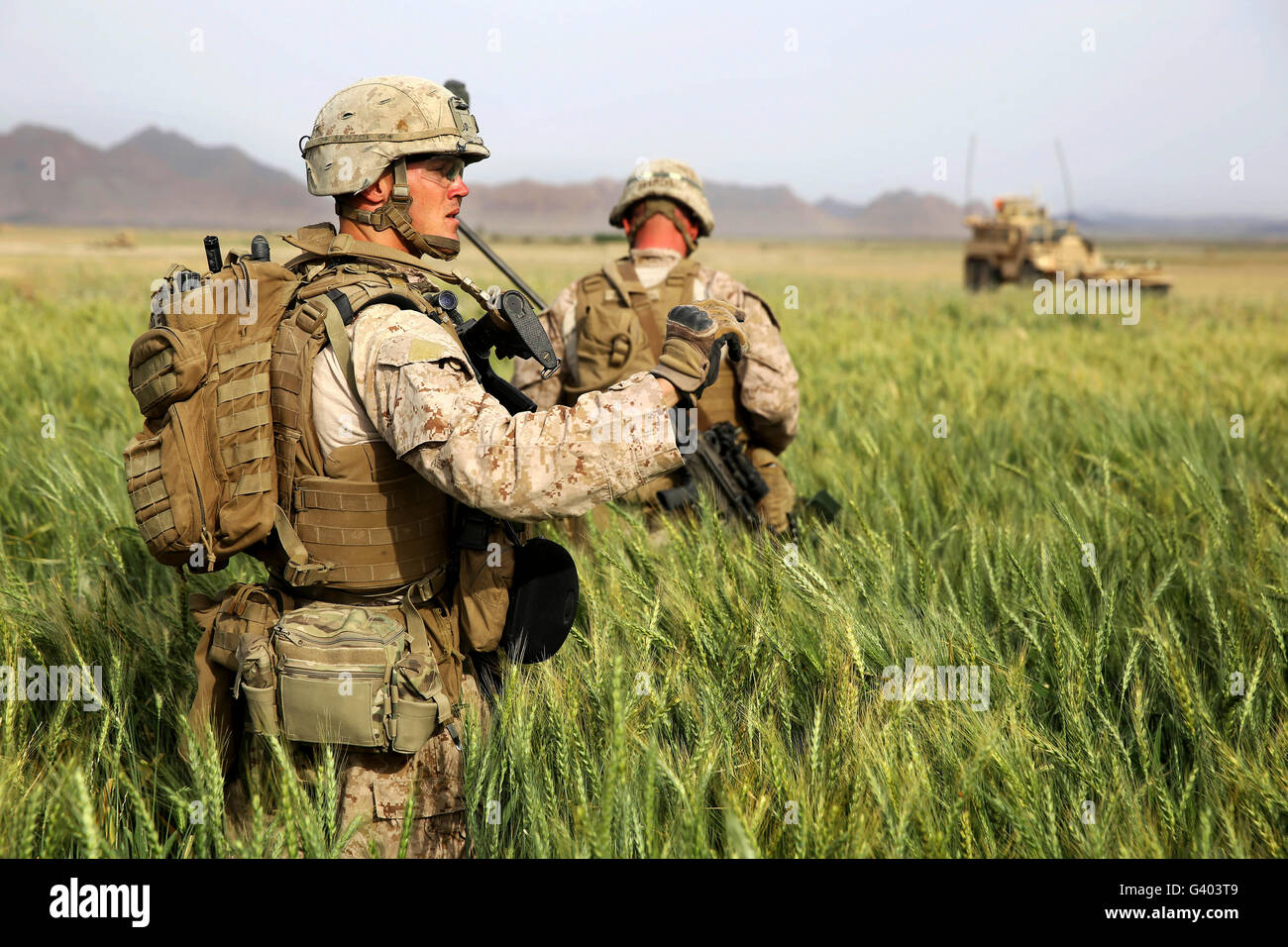 U.S. Marines patrol through a field during a mission Afghanistan. Stock Photo