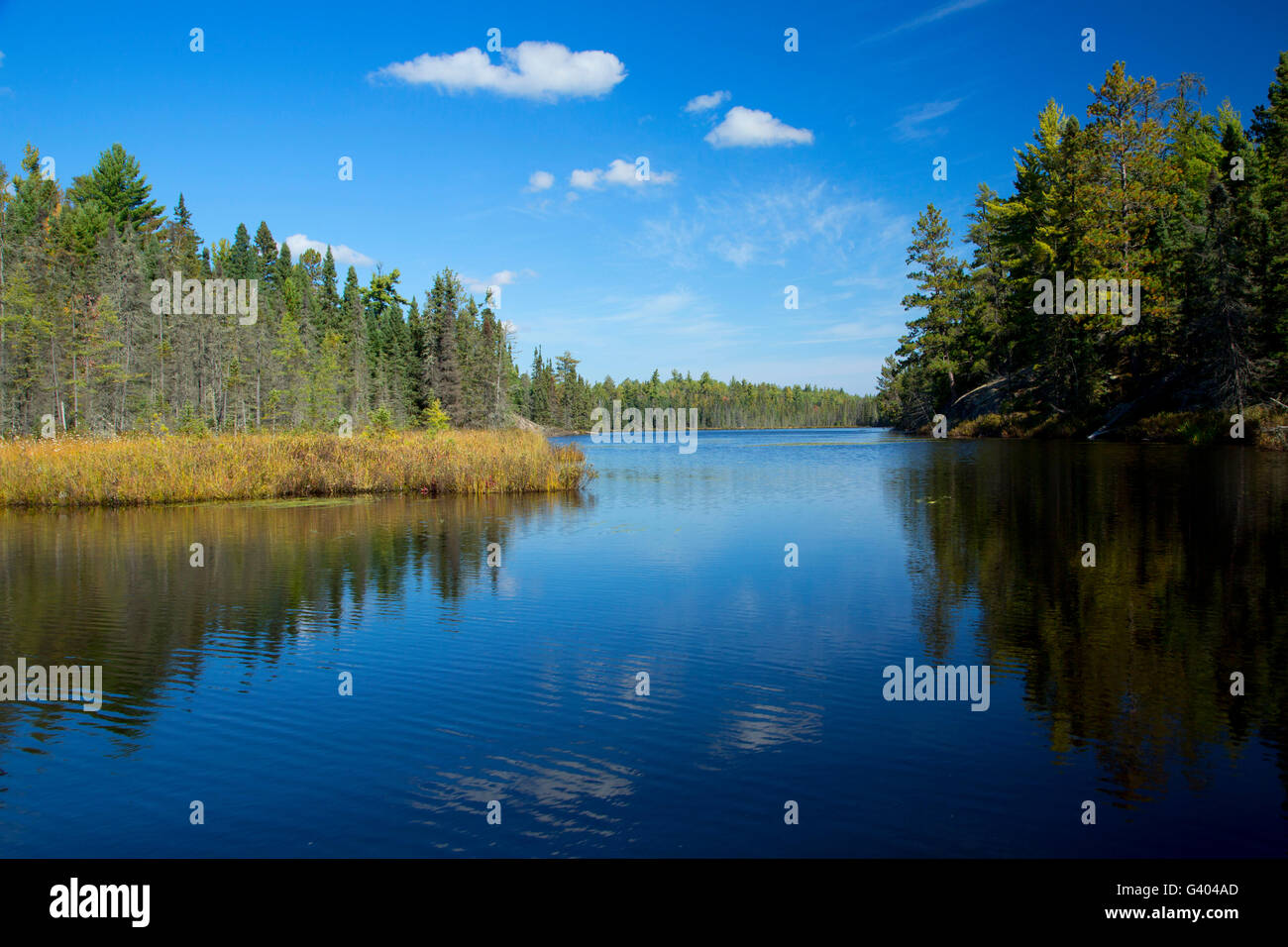 Trease Lake Boundary Waters Canoe Area Wilderness Superior