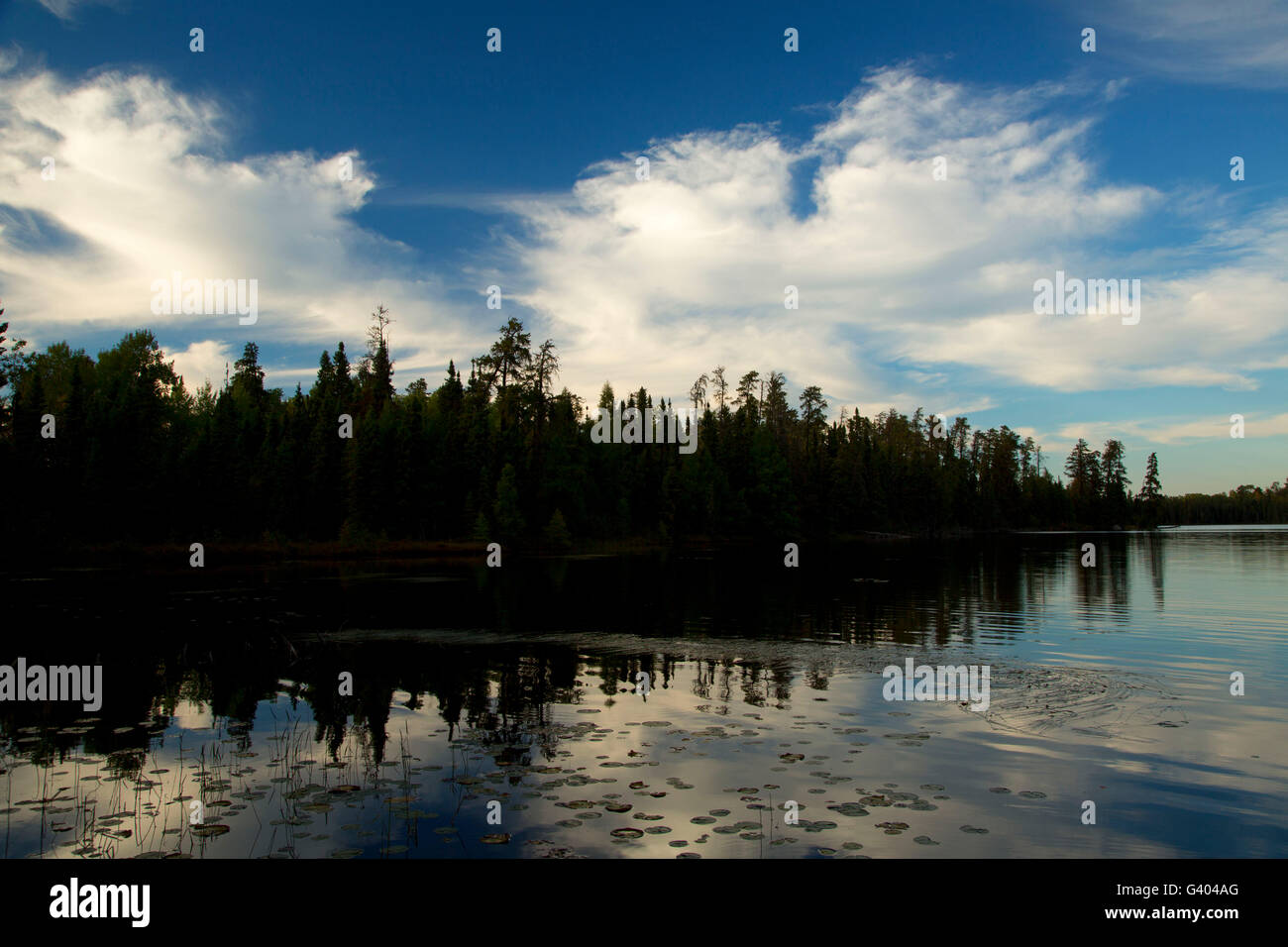 Dunnigan Lake Superior National Forest Minnesota Stock Photo