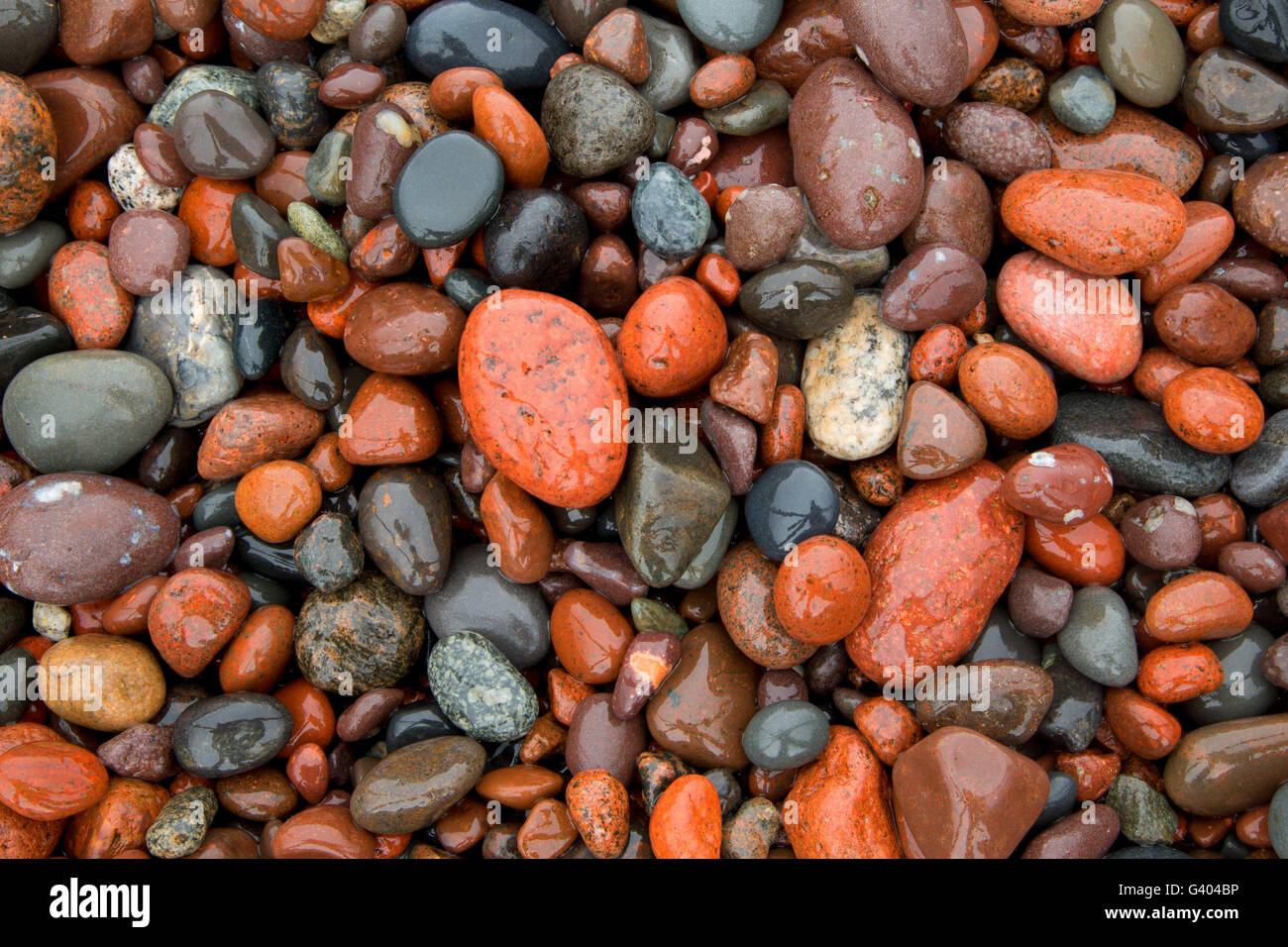 Cobble Beach, Sugarloaf Cove State Natural Area, Minnesota Stock Photo