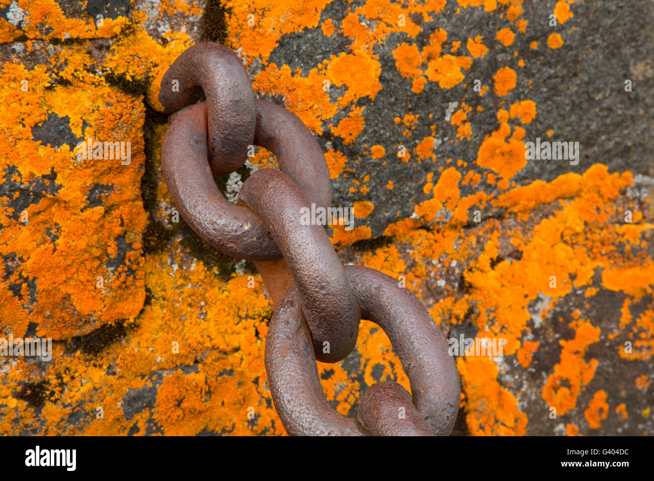 Chain with lichen on Civilian Conservation Corps (CCC) coastal rockwork, Gooseberry Falls State Park, Minnesota Stock Photo