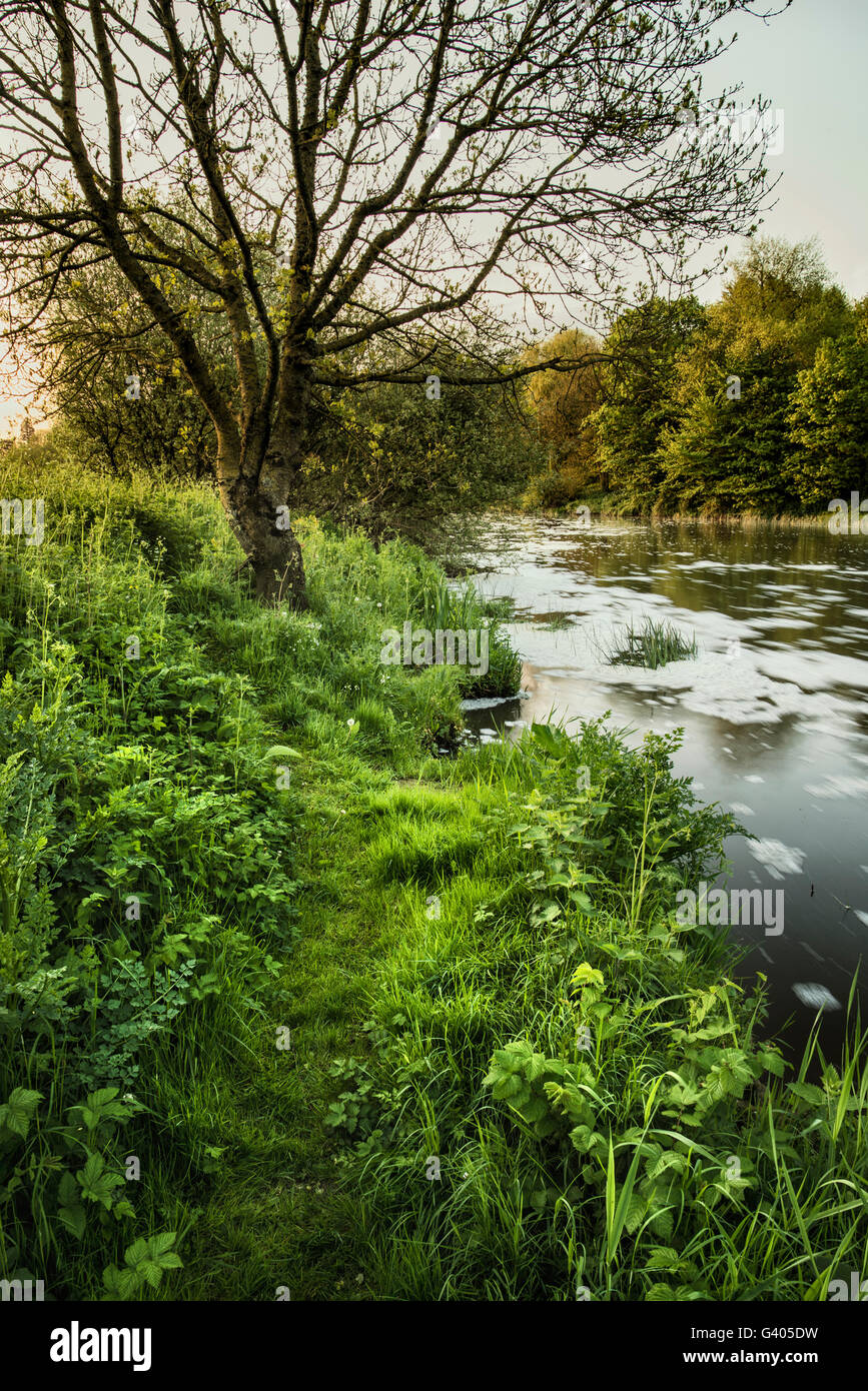 Sunrise landscape image of river flowing and lush green riverbank Stock Photo