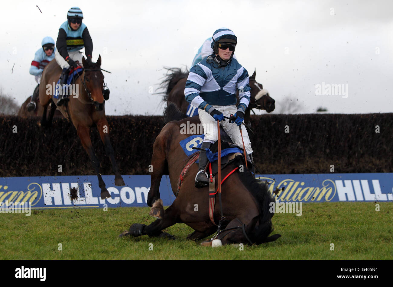Charlie Poste Racing Charlie Poste falls from Shannon's Boy during the Lindley Catering ...