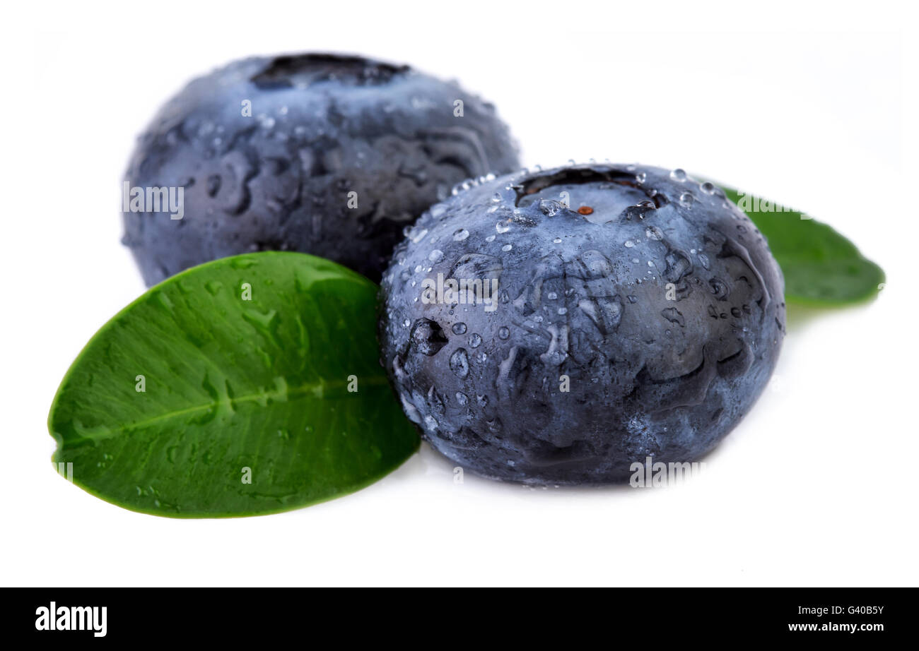 Blueberries on white. Two blueberries with leaf closeup. Stock Photo