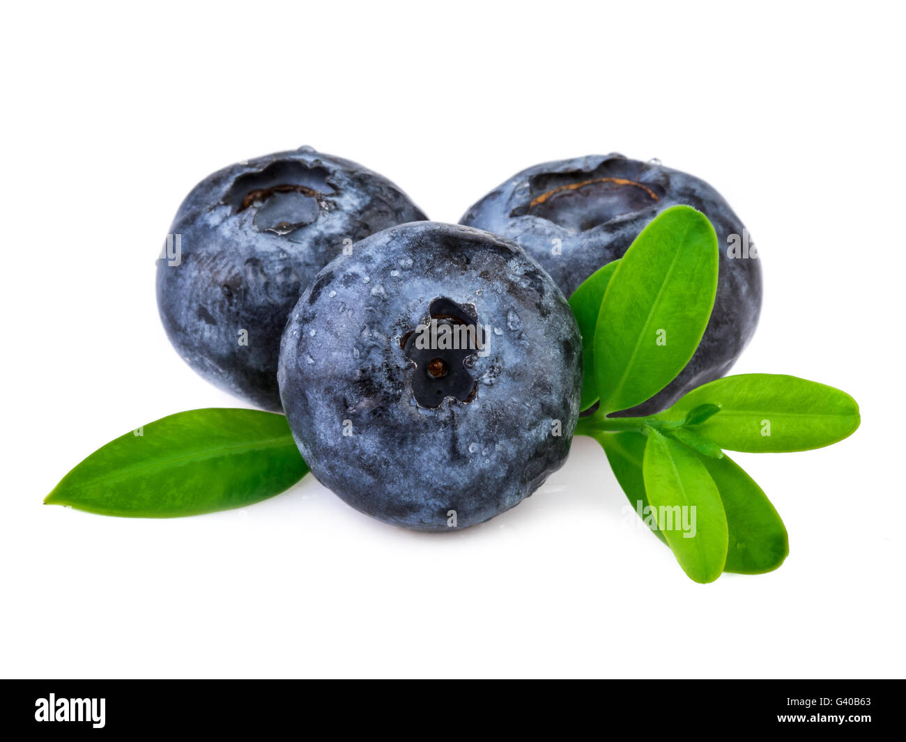 Fresh organic blueberries on white. Stock Photo