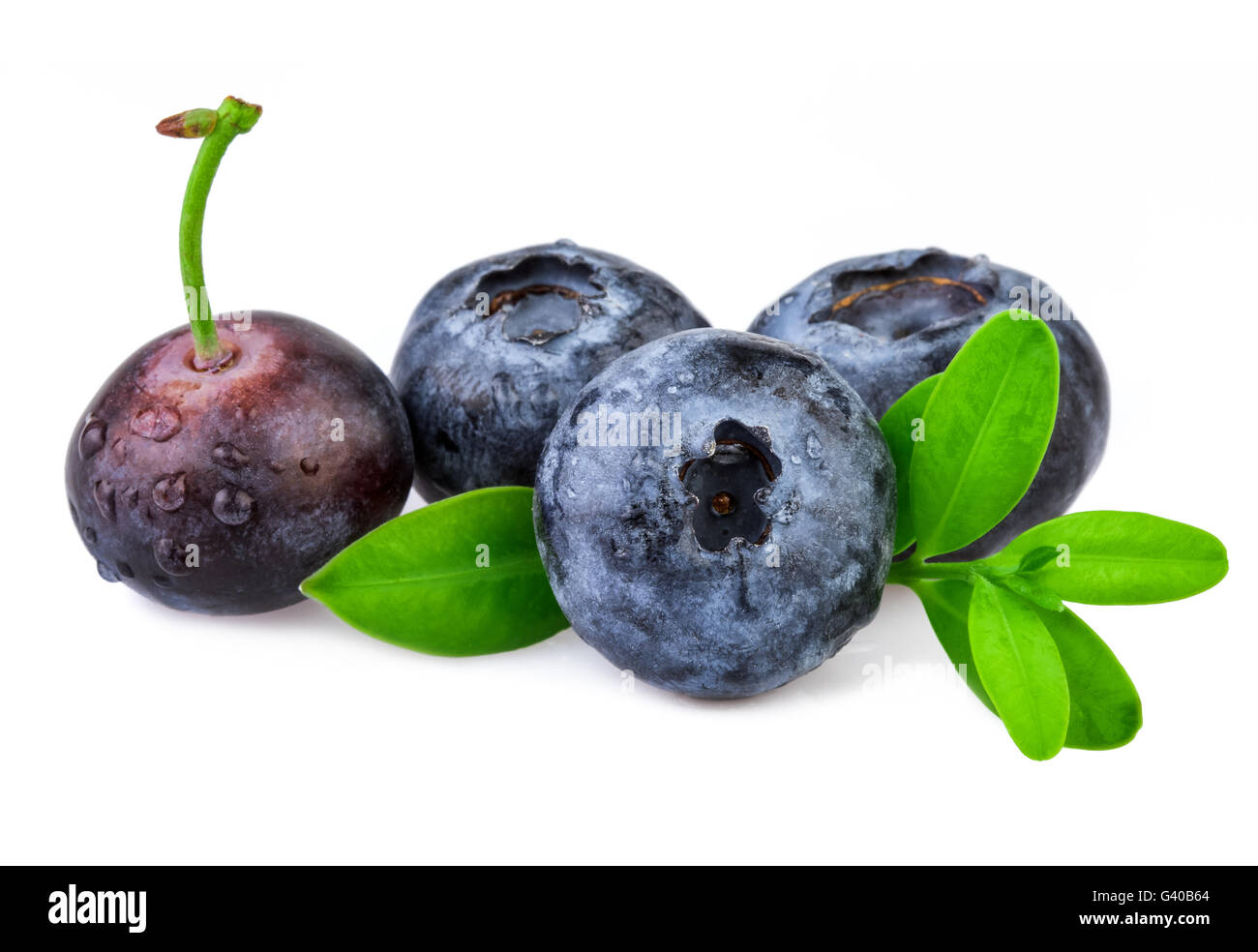 Heap of blueberries on white Stock Photo