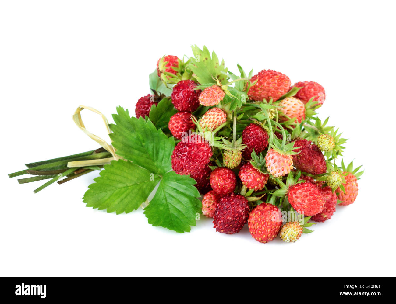 Wild strawberries with leaves on white background Stock Photo - Alamy