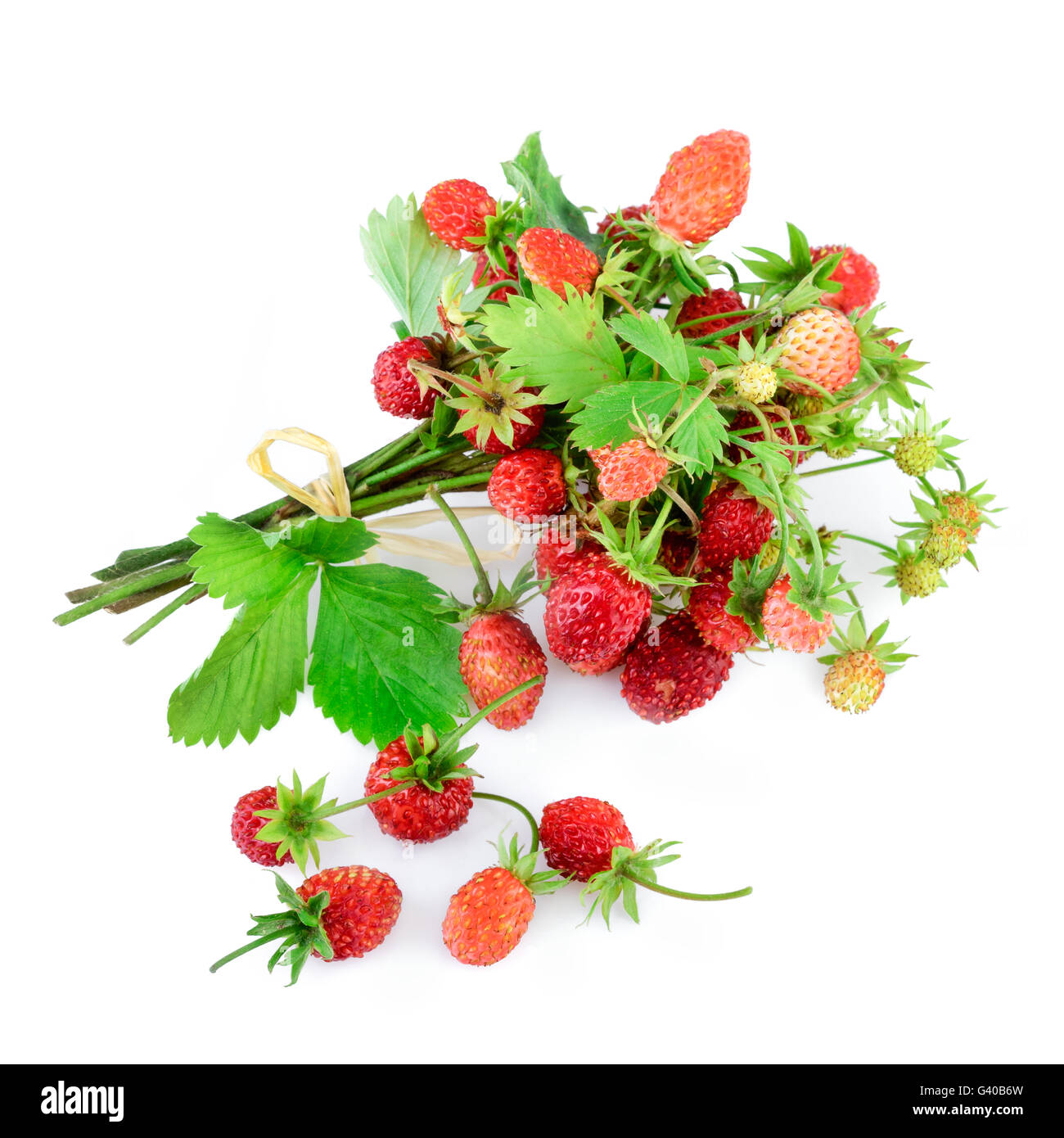Wild strawberries isolated on white background. Stock Photo