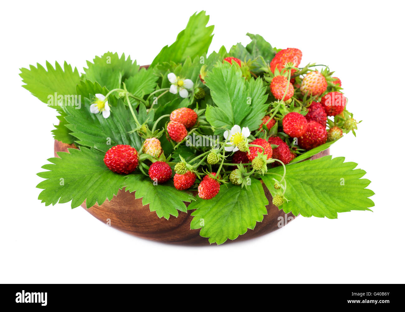 Wild strawberries in wooden bowl on white background Stock Photo - Alamy