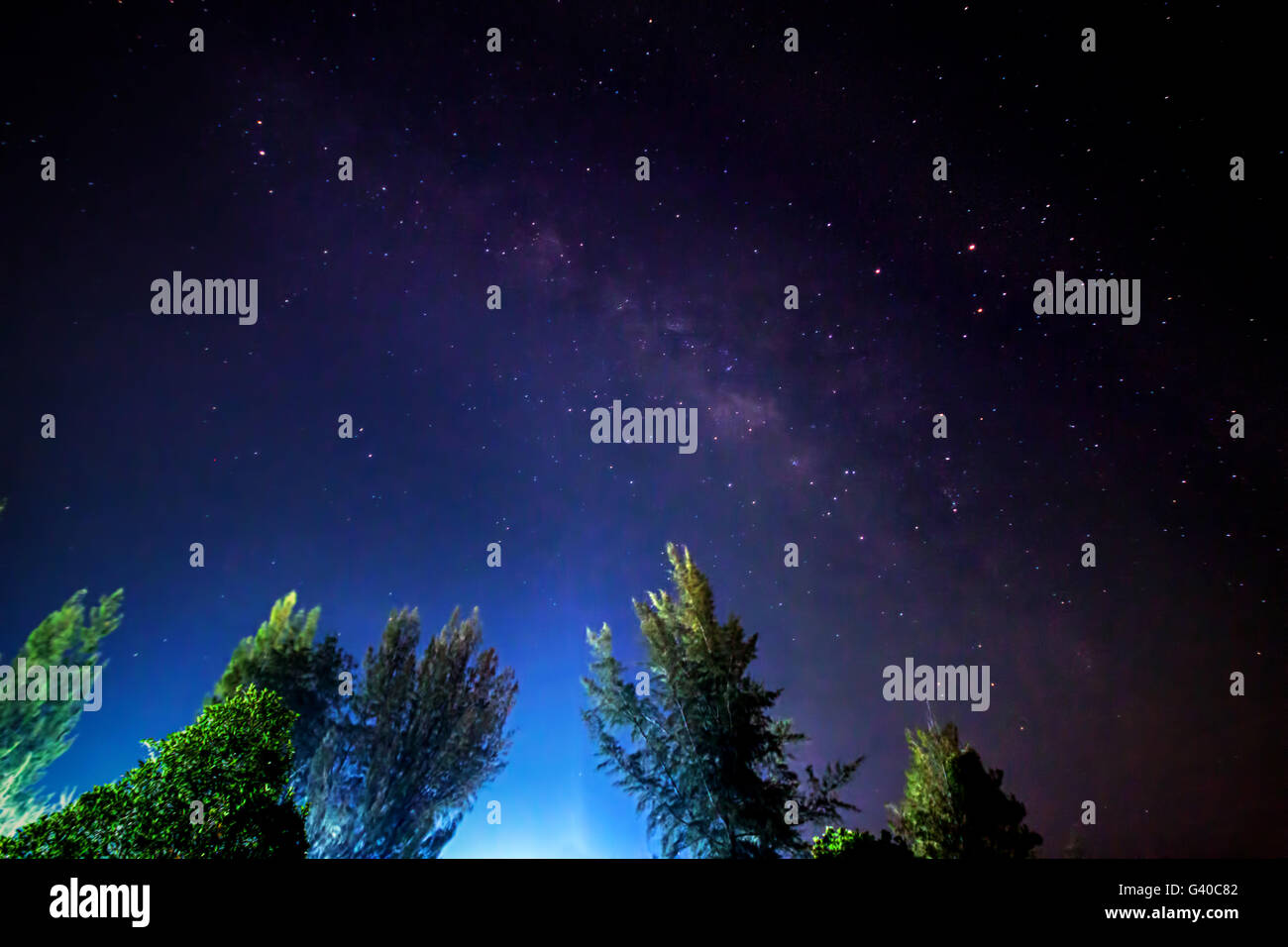 The Milky Way and some trees. In the Thailand Stock Photo - Alamy