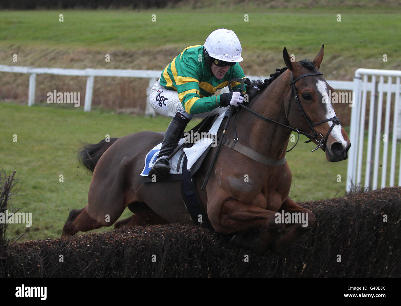 Jockey Tony McCoy jumps the last onboard Another Trump in The Groby Novices' Handicap Steeple Chase Stock Photo