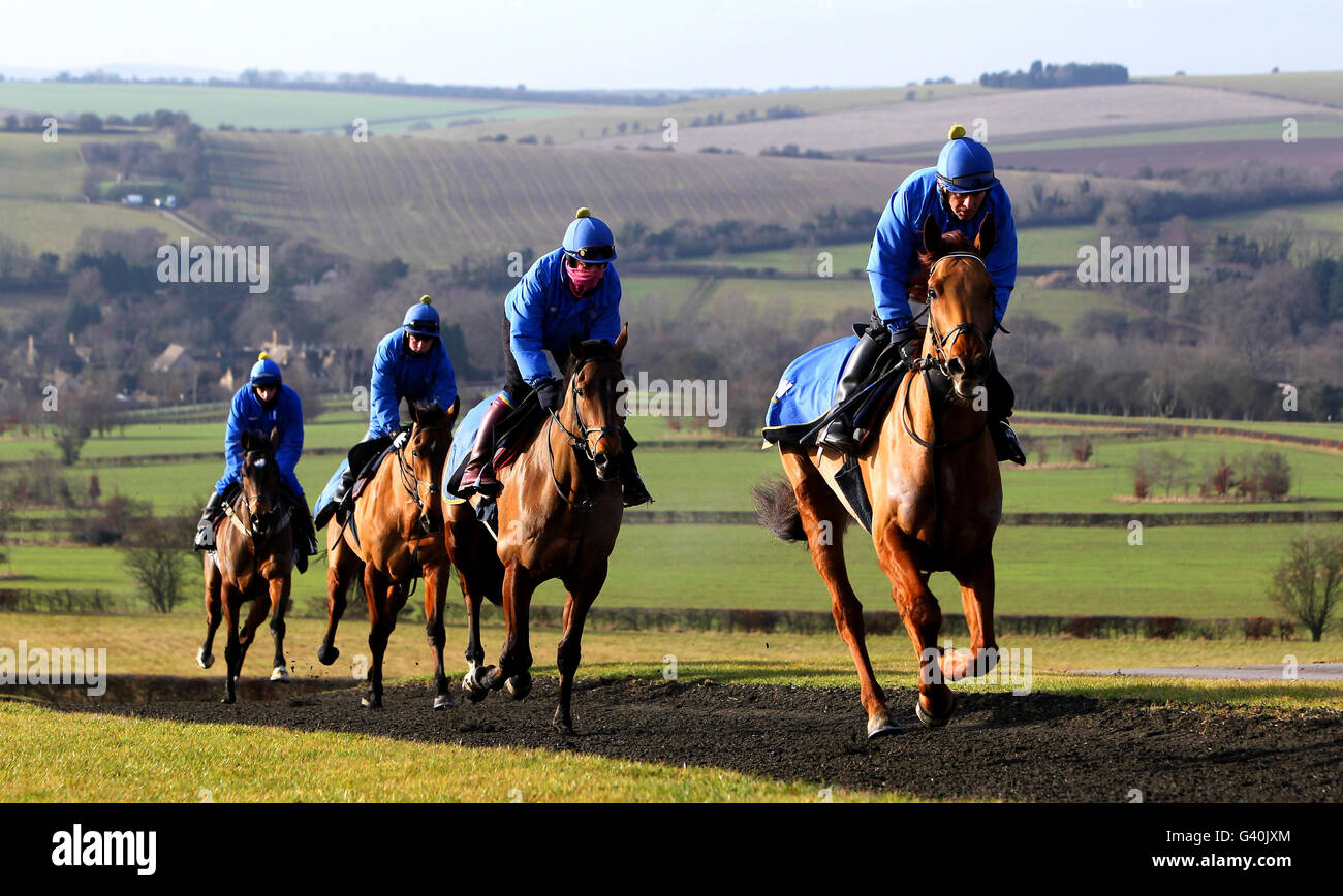 12++ Racing stables hampshire ideas in 2021 