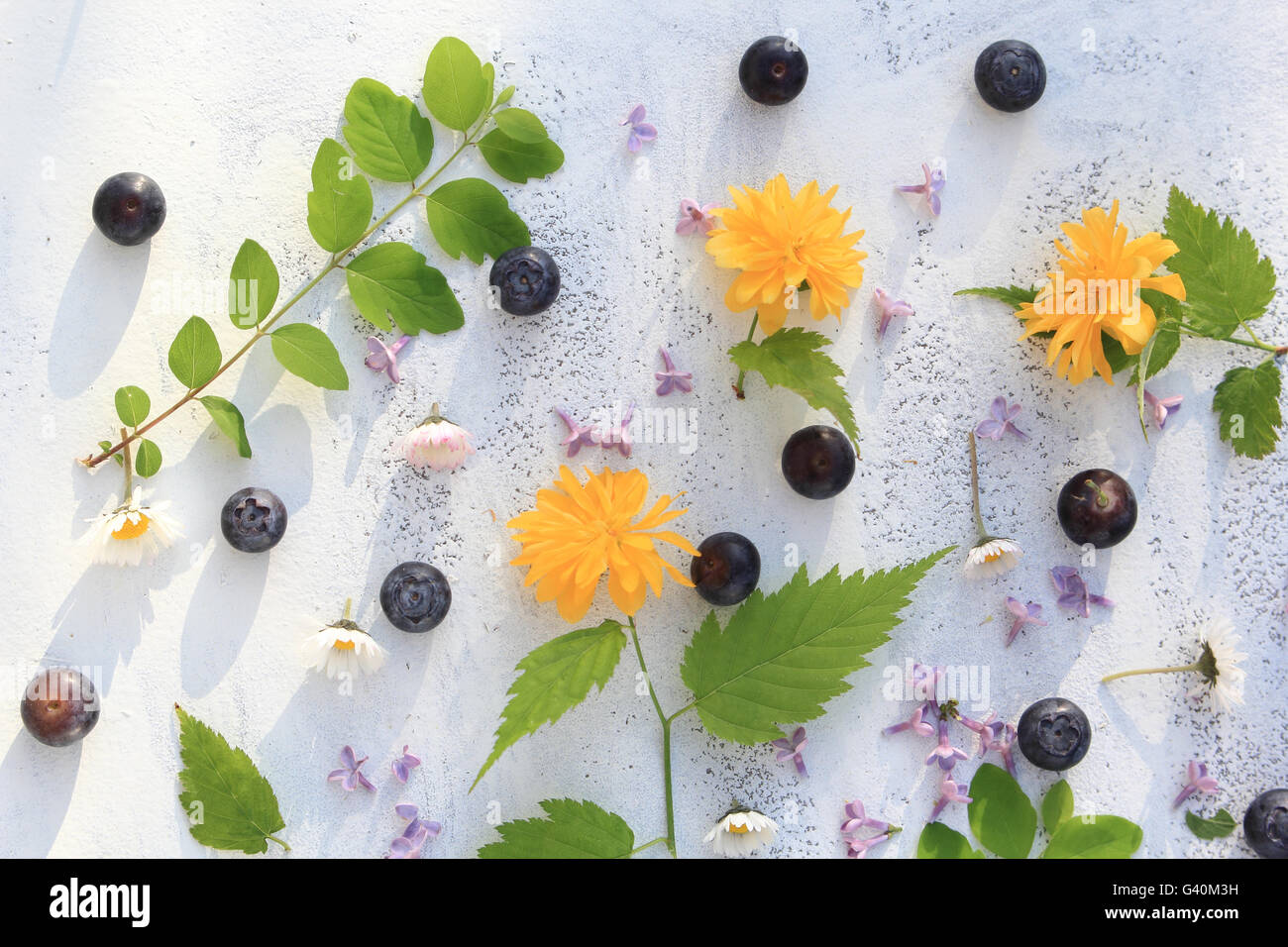 Beautiful summer/ spring background with fresh flowers and leaves on ...
