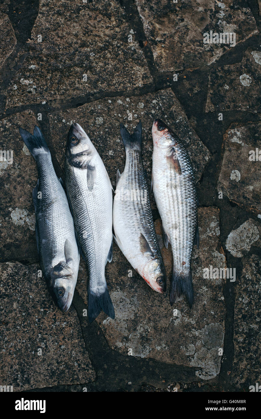 Raw fresh fish on a terrace floor Stock Photo