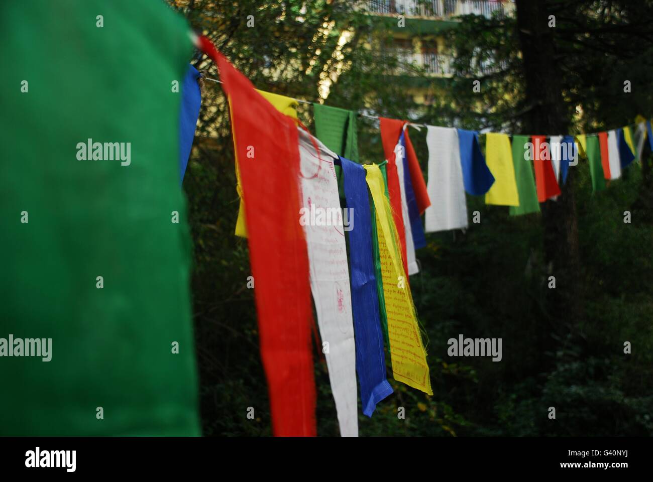 Tibetan flags. Using the wind to carry prayers, Daramshala, India Stock Photo