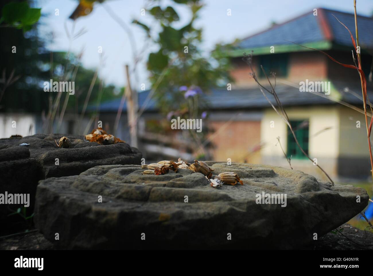 Stones and nature. Timeless, quiet scenery in the countryside of Daramshala, India. Stock Photo