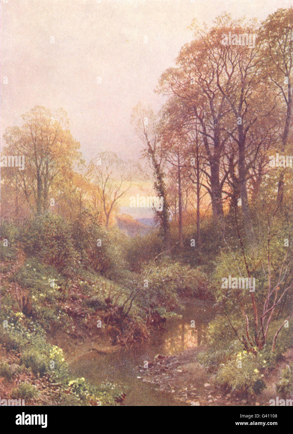SURREY: A Stream, near Leith hill, Surrey, antique print 1908 Stock Photo