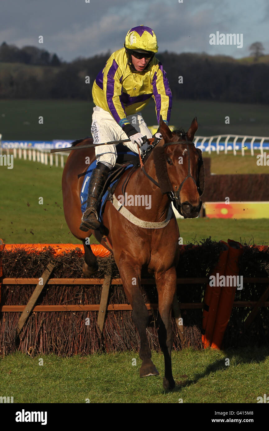 Royal And Ancient ridden by David Crosse jumps the fence during the Coral Future Champions Finale Juvenile Hurdle Stock Photo