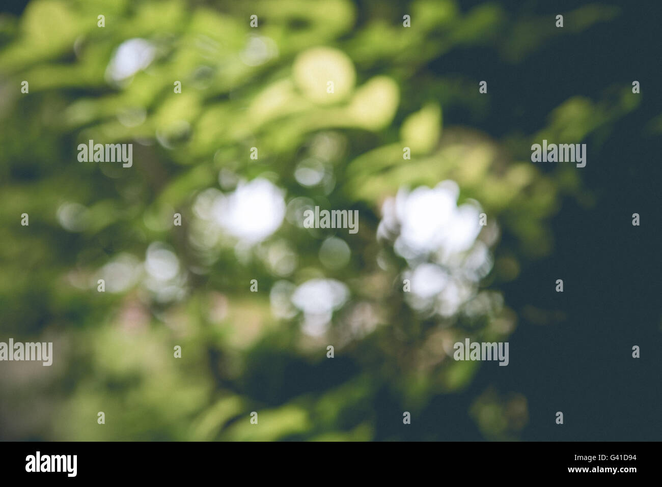 abstract green nature background Stock Photo - Alamy