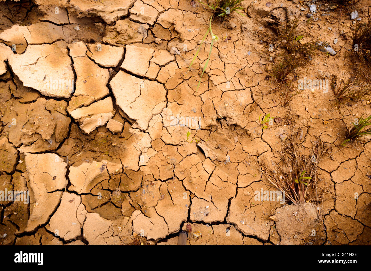 Scorched earth Stock Photo