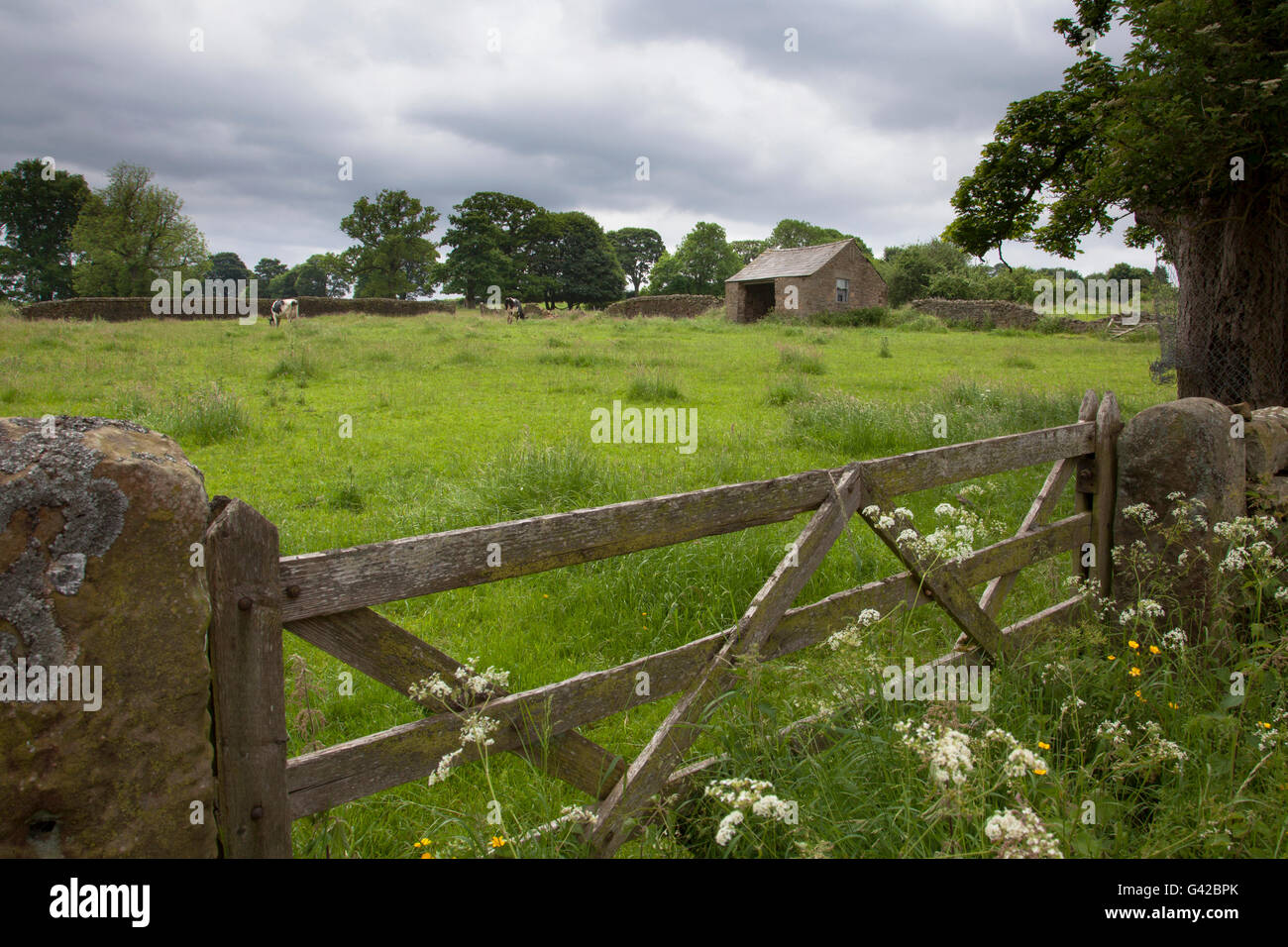 Pilsley derbyshire hires stock photography and images Alamy