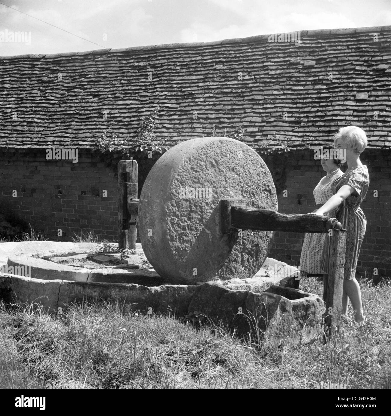 One of the few remaining cider-mills in Britain, which was in use until 1916. Now it stands in the grounds of Moat House Farm at Dorsington near Bideford-on-Avon. A horse would be harnessed to the huge millstone. The stone ground apples in the circular trough and the juices were collected from the opening at the side. Stock Photo