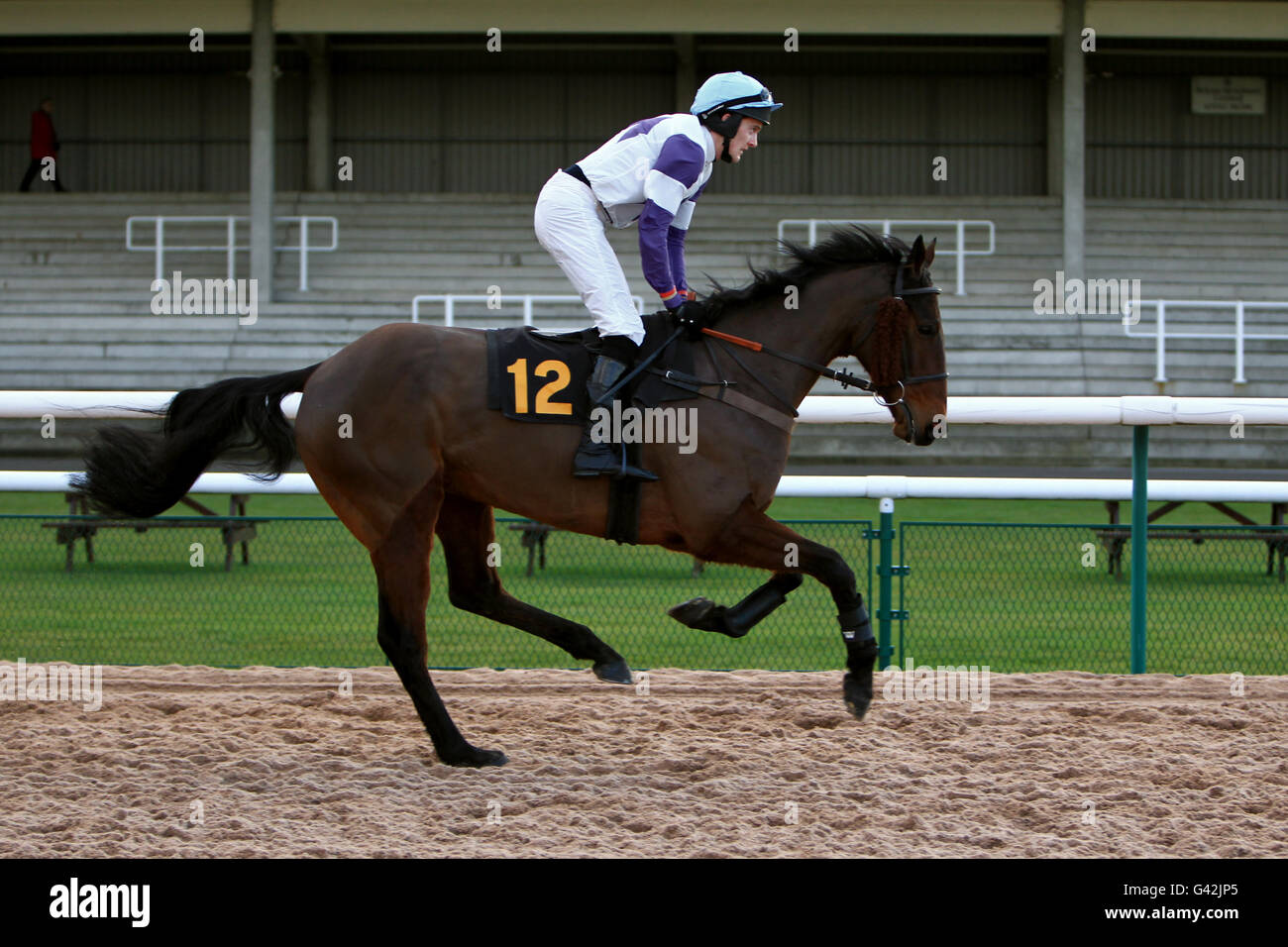 Jockey Mr N Jockey Halley on Wor Rom goes to post for the Play Golf At Southwell Golf Club Handicap Hurdle Stock Photo