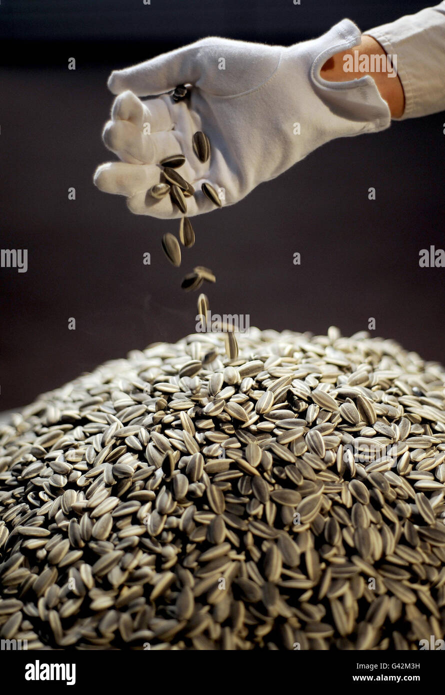 Ai Weiwei's Sunflower Seeds go on display at the Sotheby's