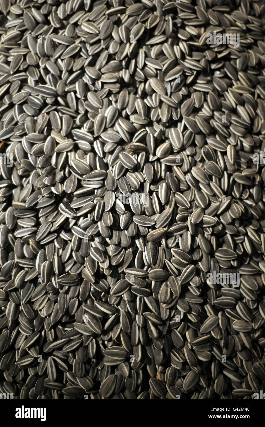 Ai Weiwei's Sunflower Seeds go on display at the Sotheby's