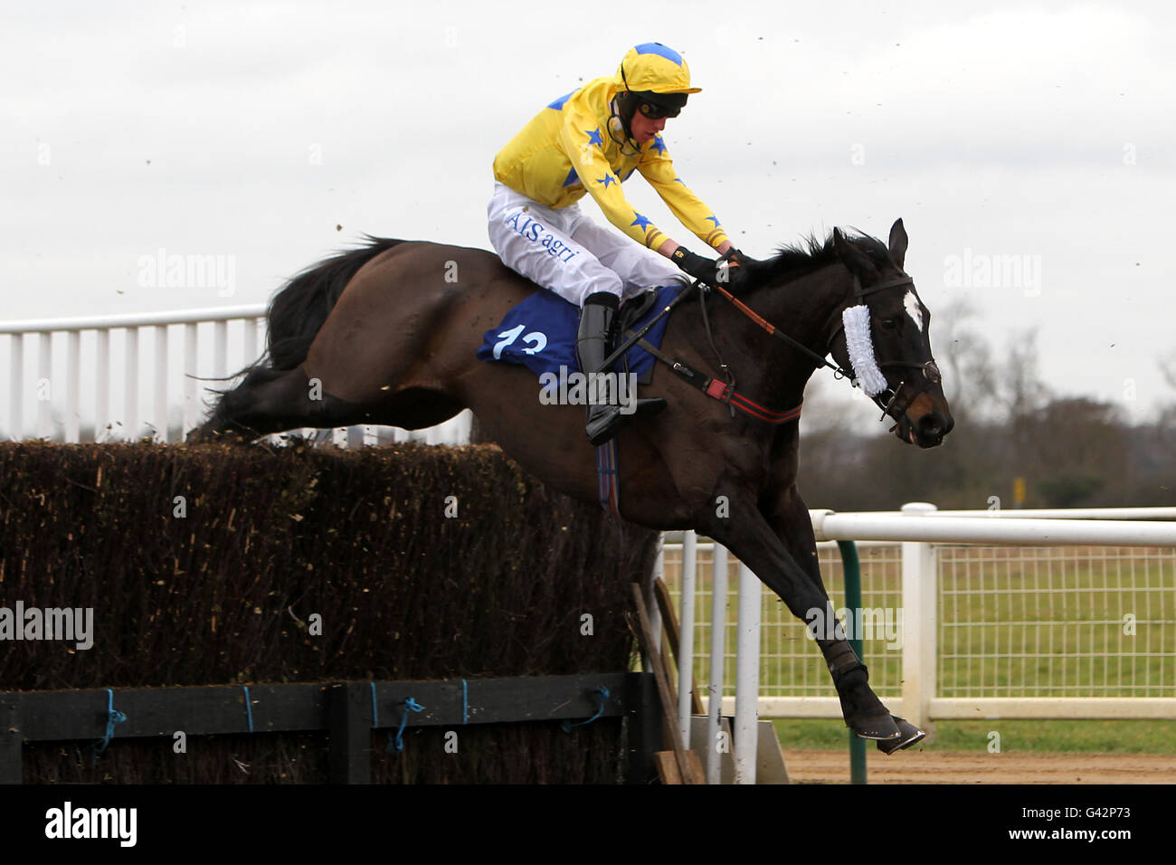 Fourpointone ridden by jockey Sam Jones in action during The Molson Coors Customers Handicap Steeple Chase Stock Photo