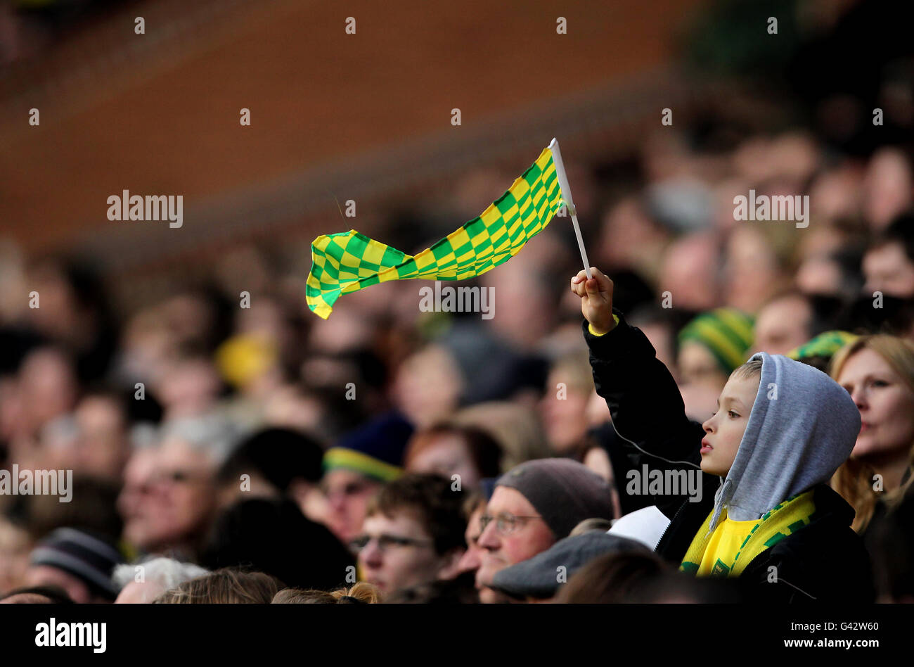 Young norwich city fan waves flag in the crowd hires stock photography