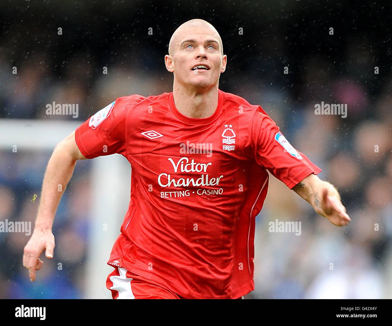 Sport - Soccer - npower Football League Championship - Nottingham Forest  Squad 2012/13 Stock Photo - Alamy